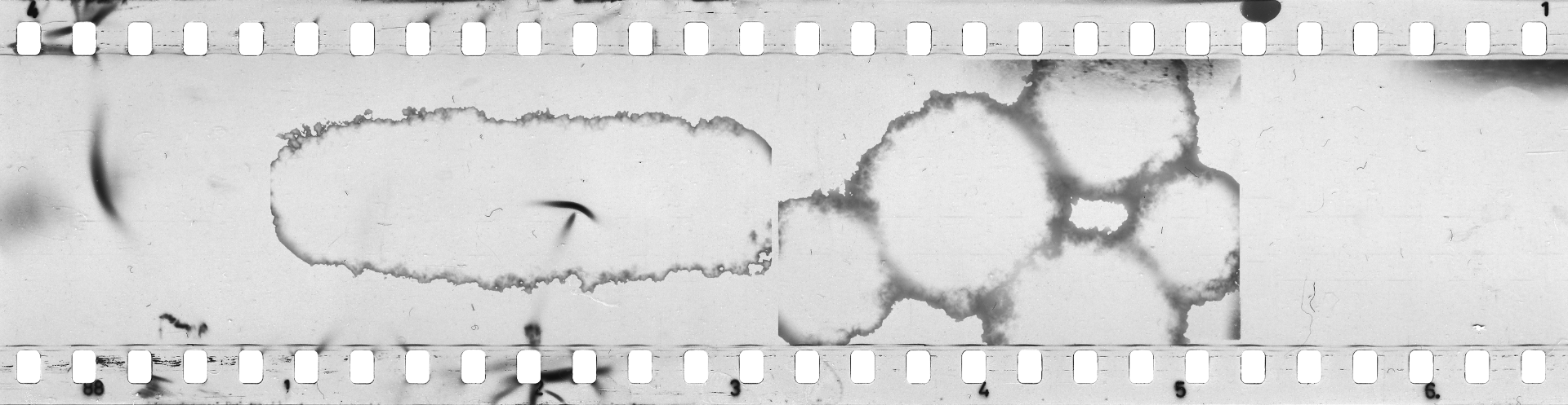 AdobeStock 832695485