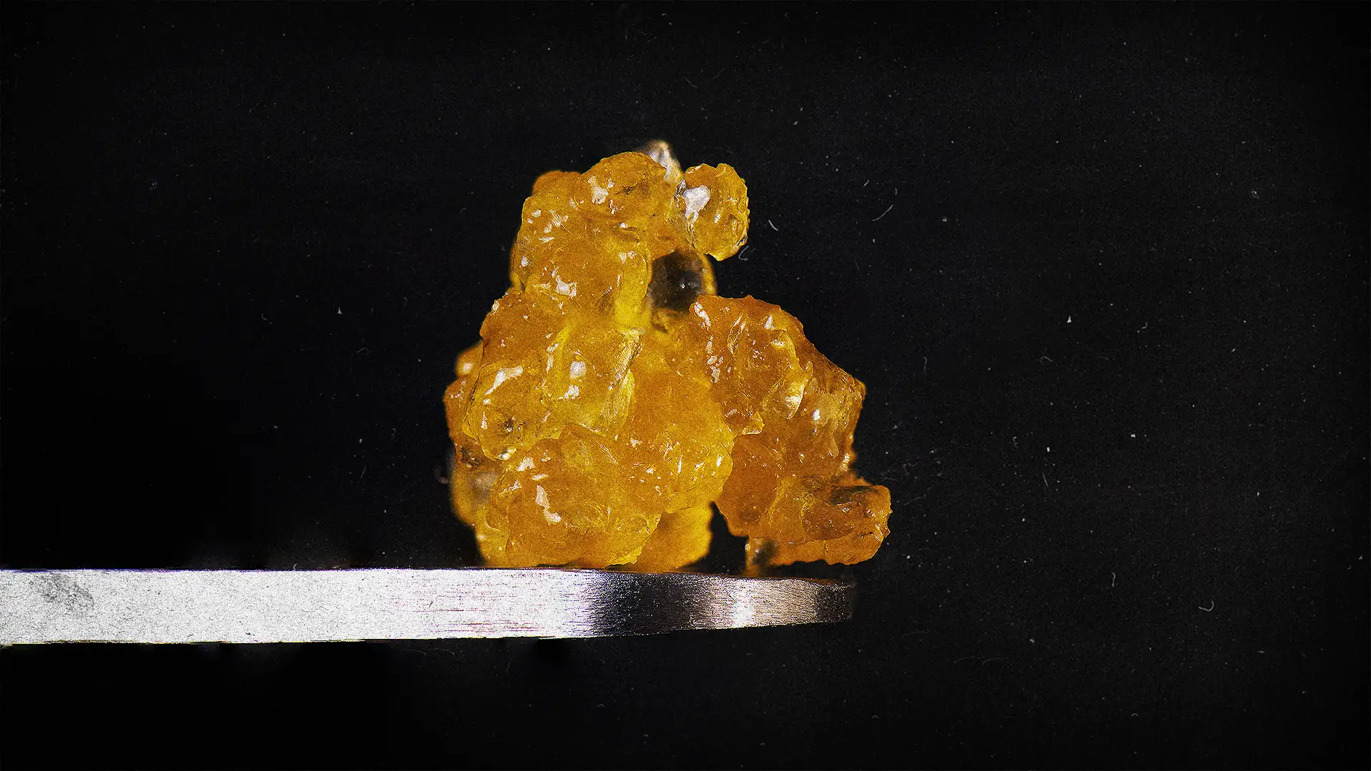Concentrates1